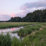 Kleine Spree bei Milkel